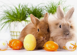 Świąteczne życzenia Wielkanocne od redakcji portalu „Żywiec w sieci”