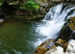 ANDRZEJKI 2014-KORBIELÓW