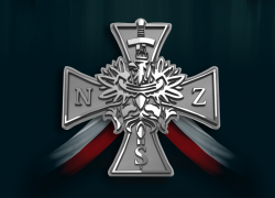 NARODOWE SIŁY ZBROJNE DEKLARACJA