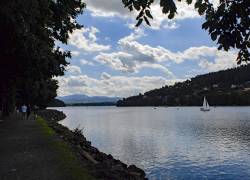 Porządki nad Jeziorem Żywieckim